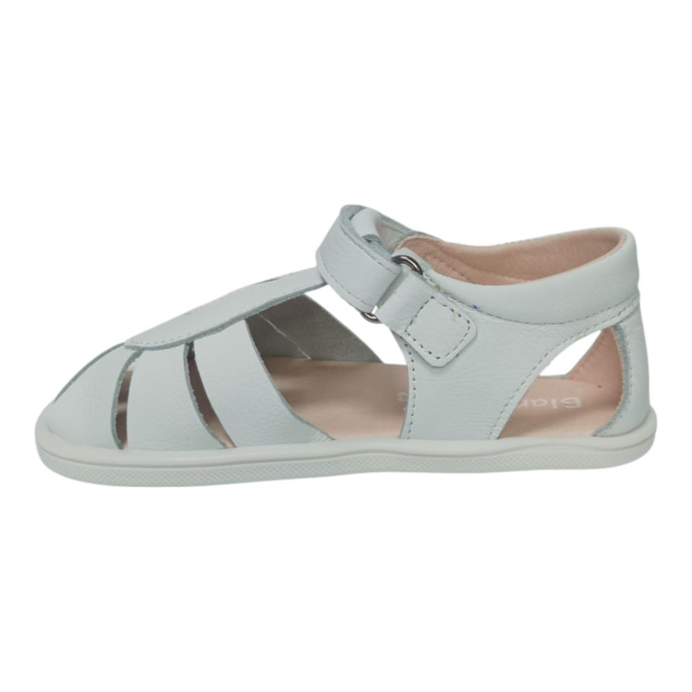 INDIA BLANCO25V